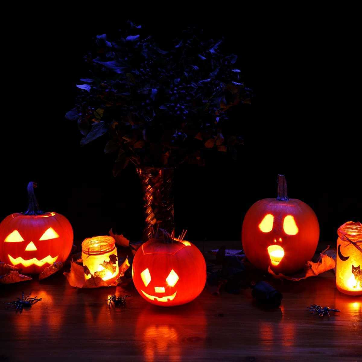 Allergy Friendly Halloween