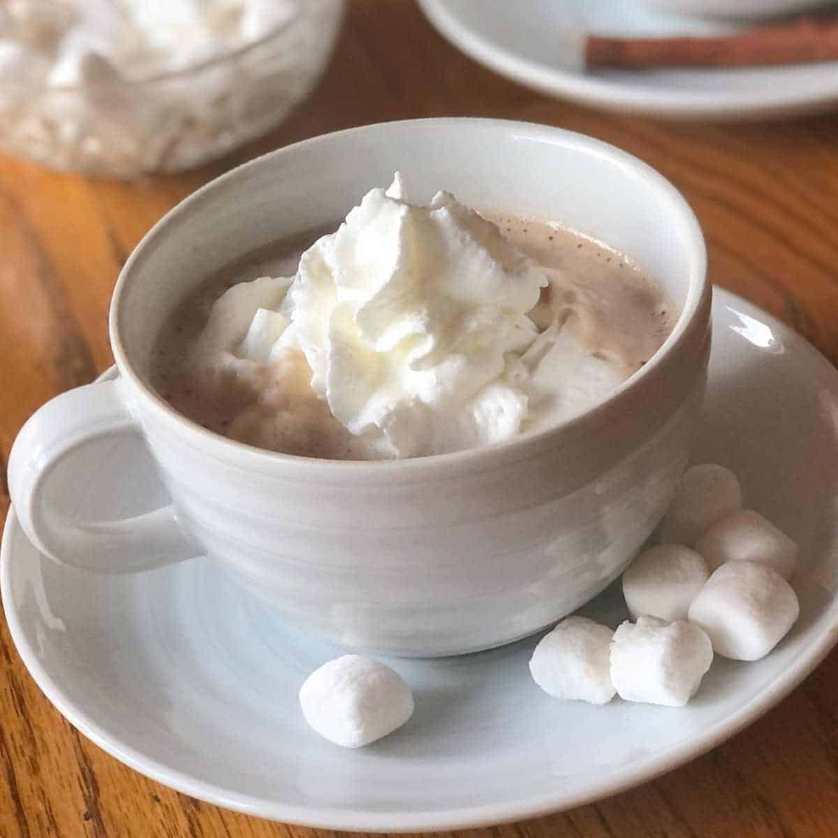 Oat milk hot chocolate topped with dairy free whipped topping